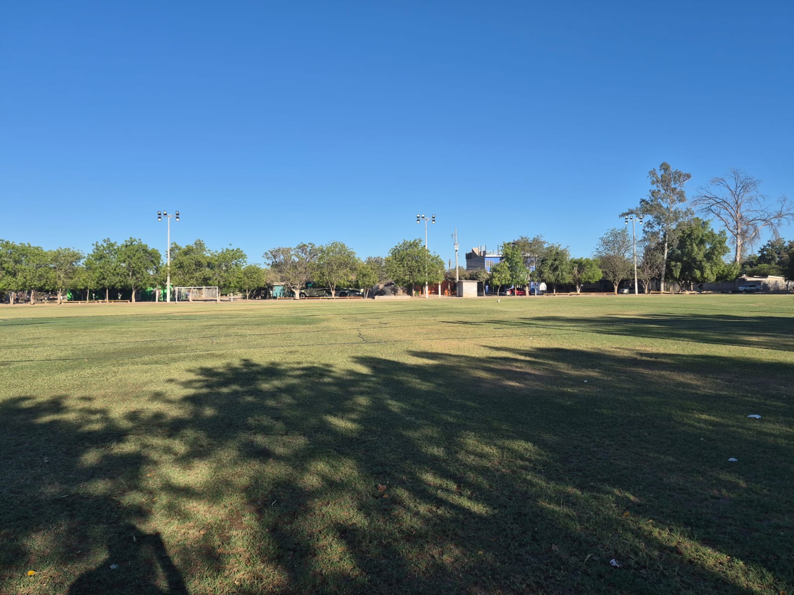 REHABILITACIÓN DE CANCHA FÚTBOL 11 EN EJIDO BACHOCO JUAN JOSÉ RÍOS