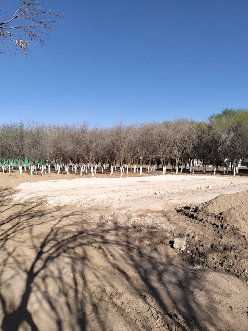 CONSTRUCCIÓN DE CANCHA DE FÚTBOL 5 EN IMPECSA EN GUADALUPE VICTORIA