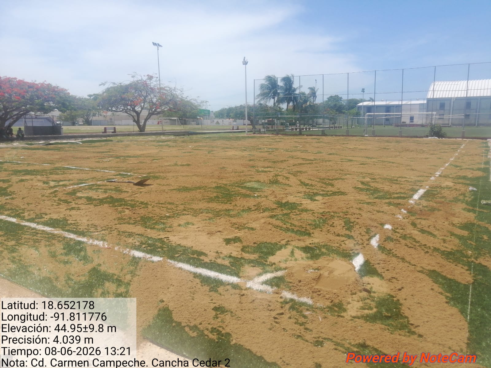 CONSTRUCCIÓN DE CANCHA DE FÚTBOL 5  EN LA CANCHA FÚTBOL CEDAR CANCHA 2 EN CARMEN