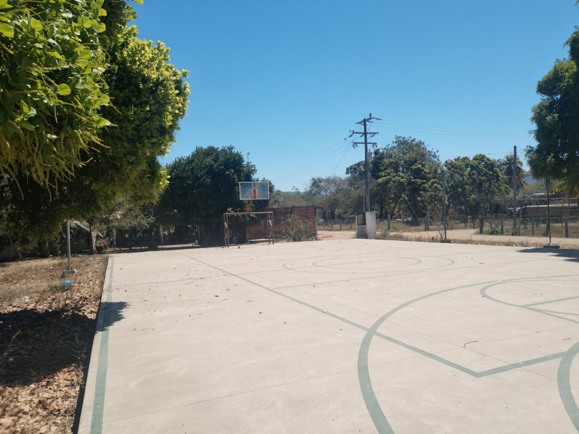 REHABILITACIÓN DE MULTICANCHA EN SANTA FE EN ROSA MORADA