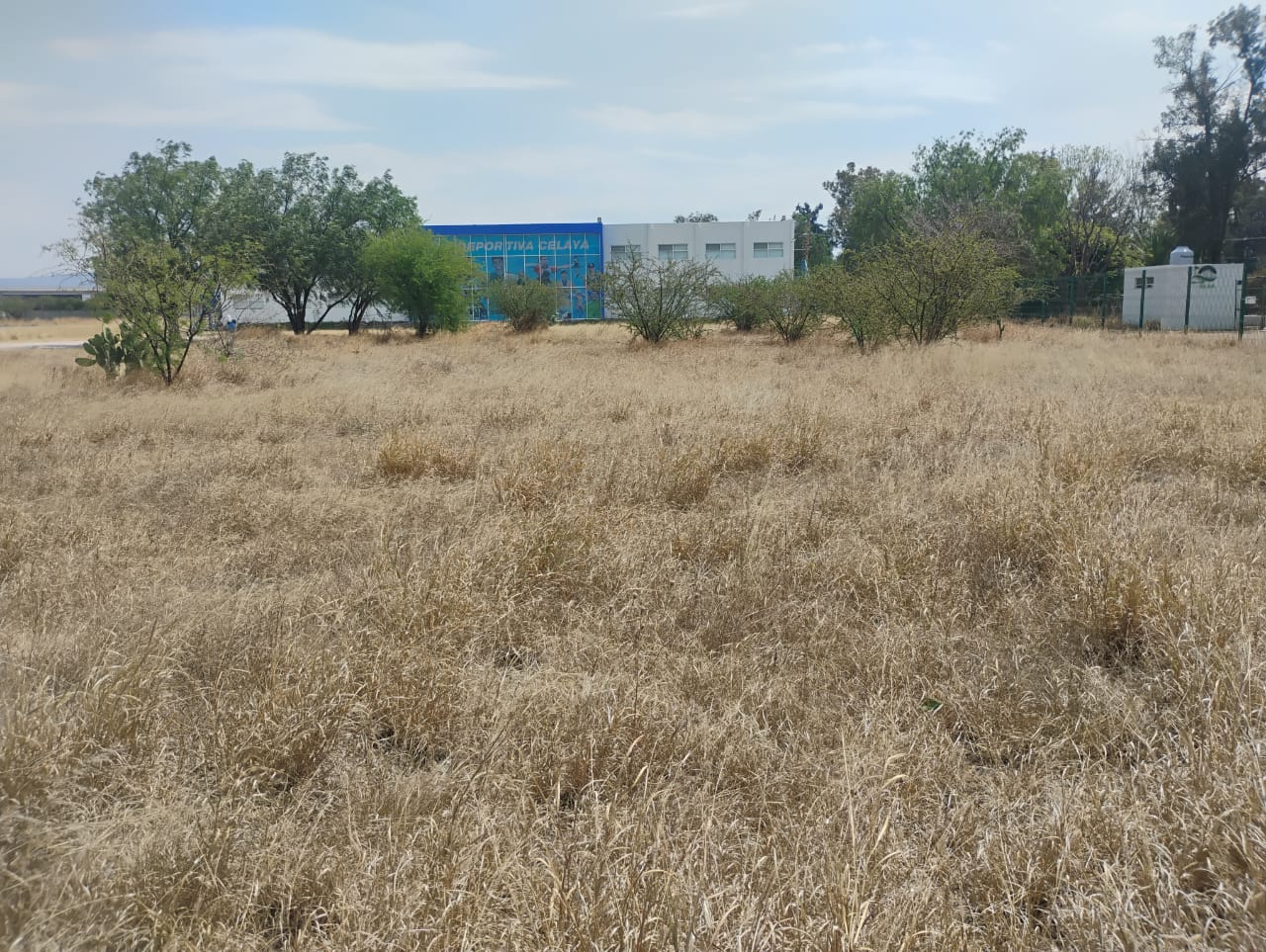 CONSTRUCCIÓN DE CANCHA DE FÚTBOL 5 EN INSTALACIONES DEPORTIVAS DEL CELANESE EN CELAYA