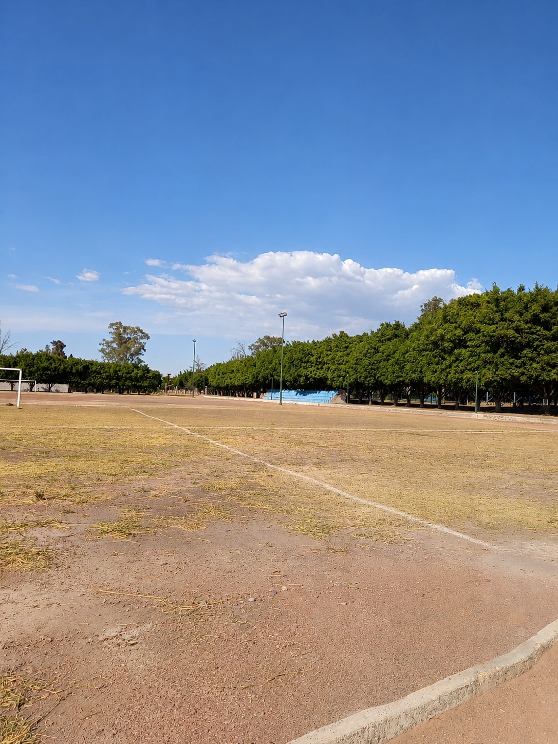 CONSTRUCCIÓN DE CANCHA FÚTBOL 5 EN LA UNIDAD DEPORTIVA JESÚS ROMERO FLORES EN LA PIEDAD