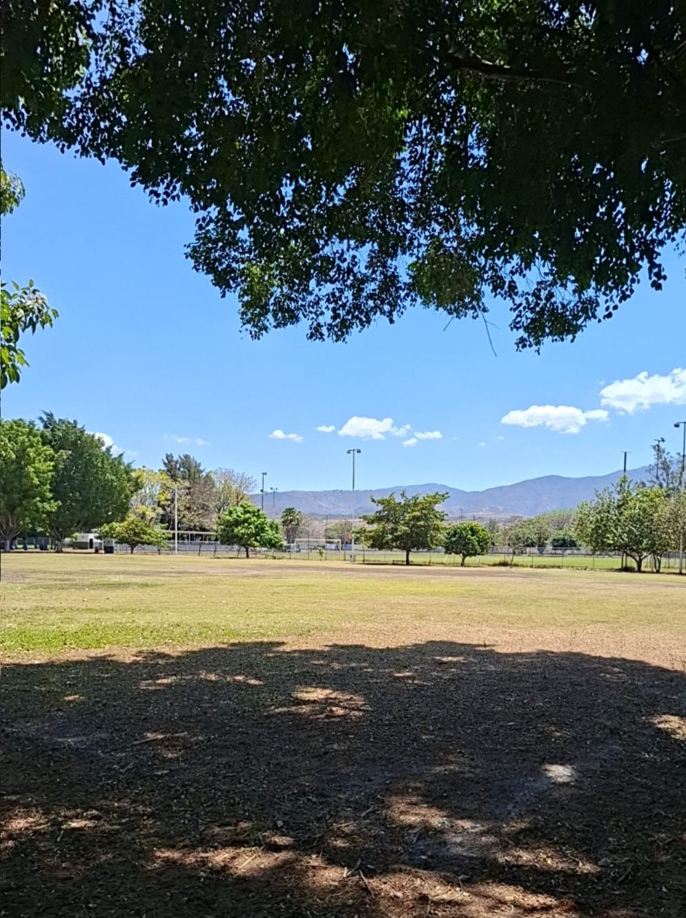 CONSTRUCCIÓN DE CANCHA FÚTBOL 5 EN UNIDAD DEPORTIVA ROBERTO GÓMEZ REYES  EN IXTLÁN DEL RÍO