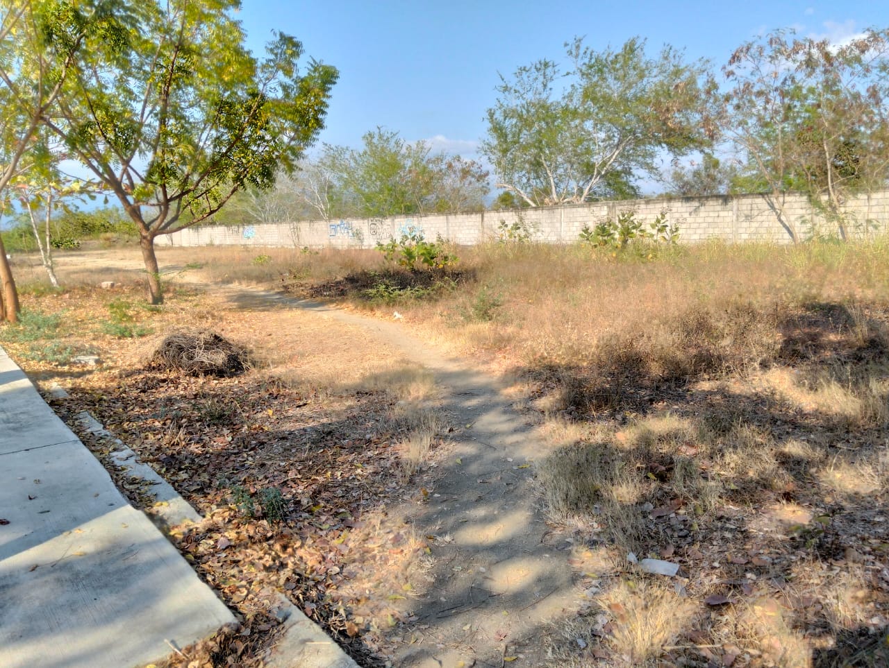CONSTRUCCIÓN DE CANCHA FÚTBOL 5 EN UNIDAD DEPORTIVA EN SAN PEDRO POCHUTLA