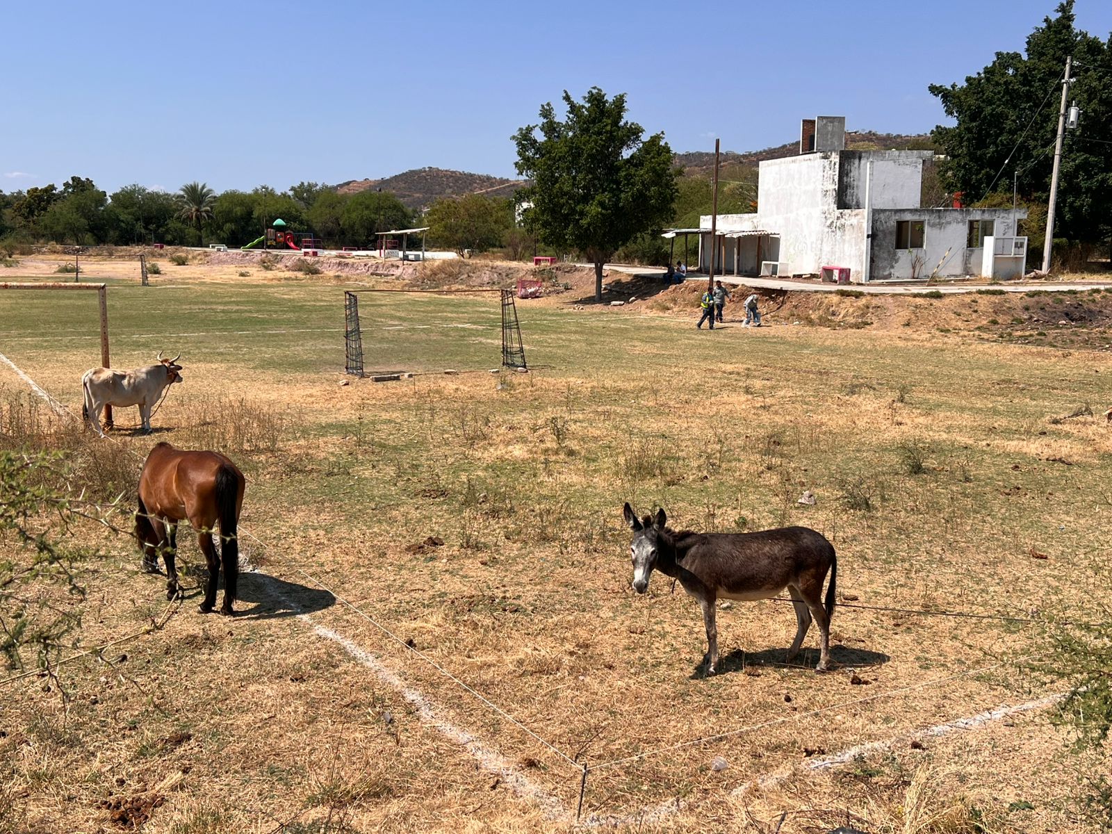 CONSTRUCCIÓN DE CANCHA DE FÚTBOL 5 EN COLONIA LA PALMA EN ACATLÁN DE OSORIO