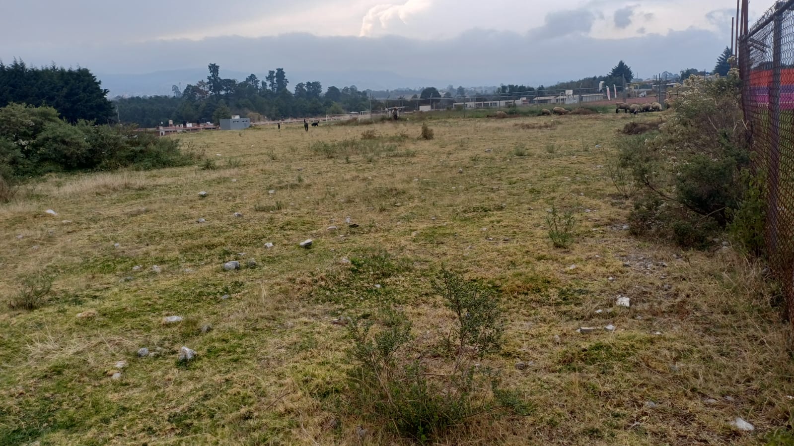 CONSTRUCCIÓN DE CANCHA DE FÚTBOL 5 EN COLONIA TLATEMPA EN ZACATLÁN