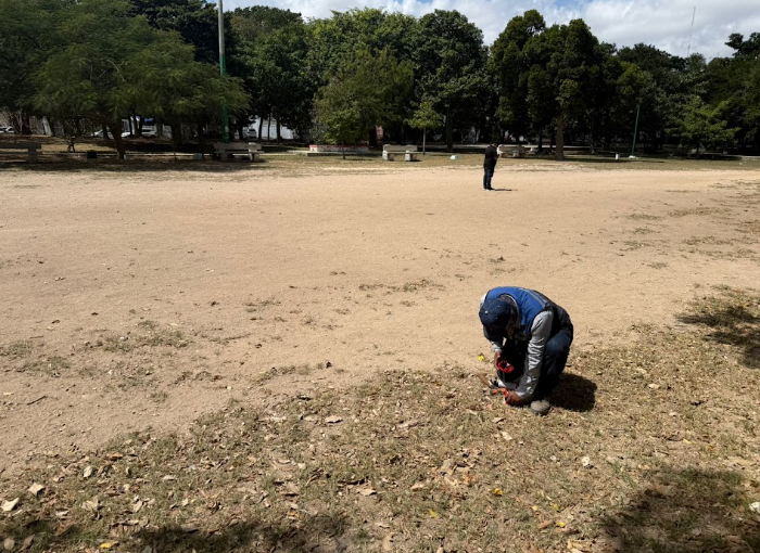 CONSTRUCCIÓN DE CANCHA DE FÚTBOL 5 EN EL PARQUE SM 29 EN BENITO JUÁREZ