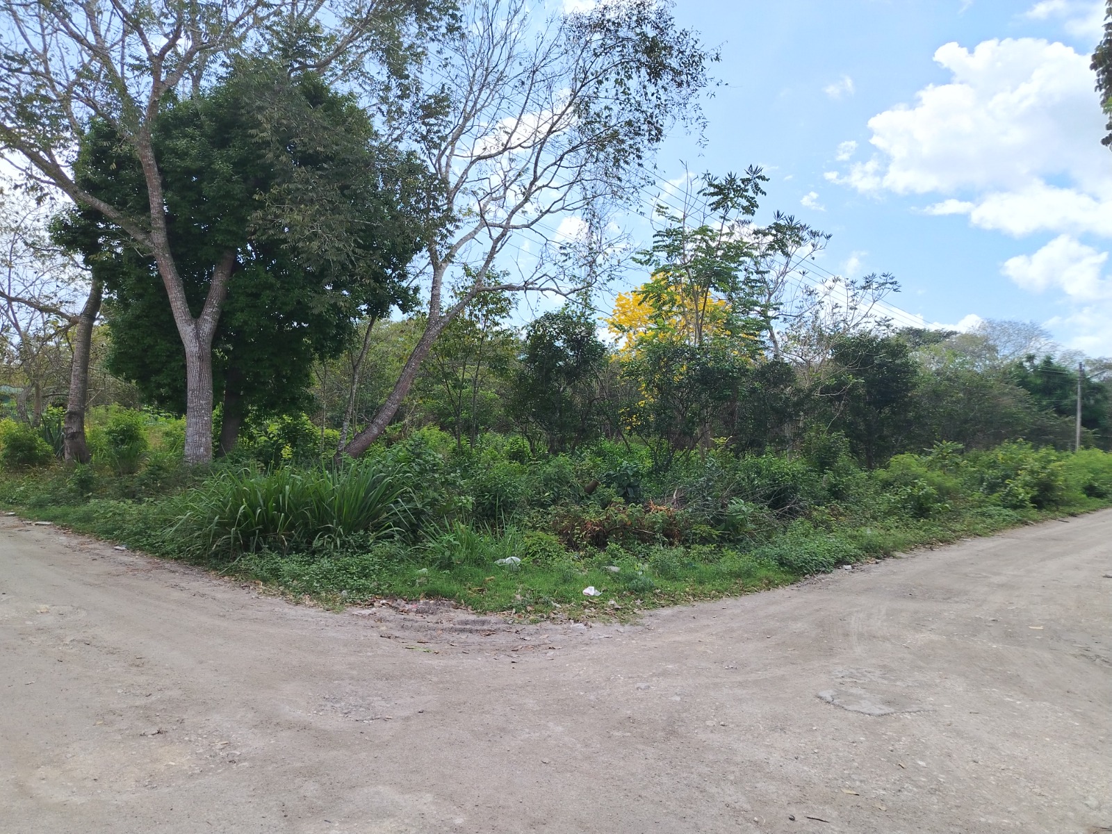 CONSTRUCCIÓN DE CANCHA DE FÚTBOL 5 EN LA CANCHA DEPORTIVA HERIBERTO JARA EN CALAKMUL