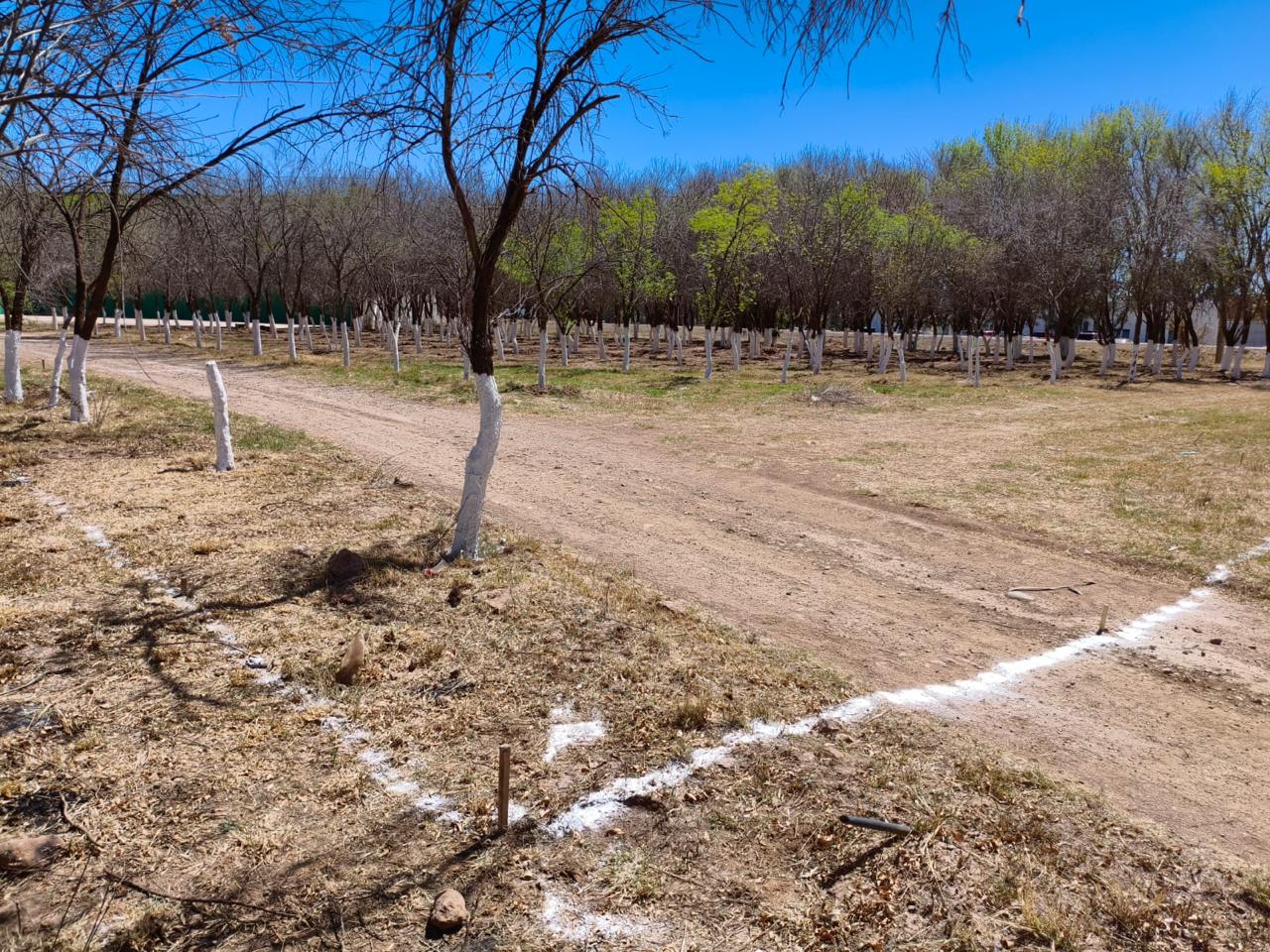CONSTRUCCIÓN DE CANCHA DE FÚTBOL 5 EN JOSÉ MARÍA PINO SUÁREZ EN GUADALUPE VICTORIA