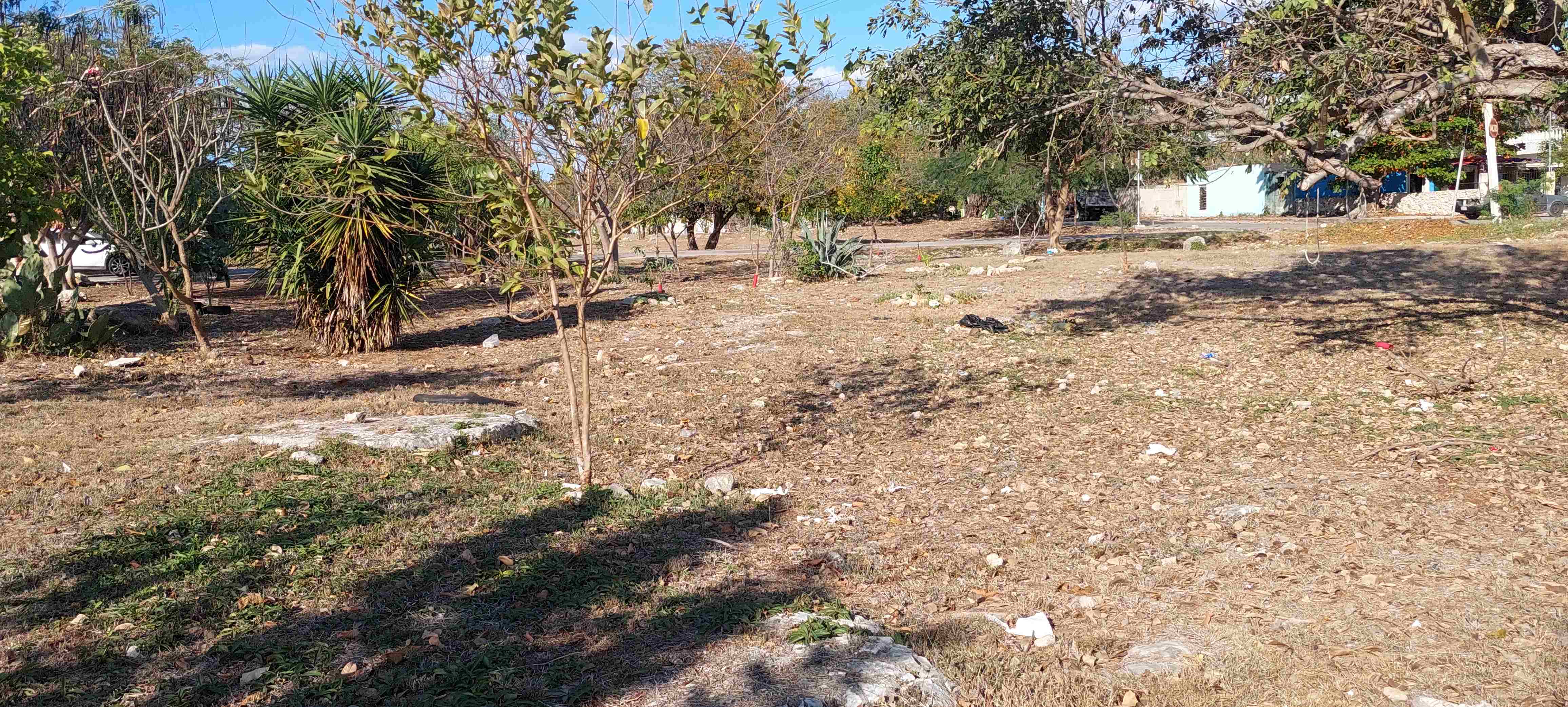 CONSTRUCCIÓN DE CANCHA DE FÚTBOL 5 EN EL TERRENO EN UNION DE LOS PASEOS PORVENIR EN MÉRIDA