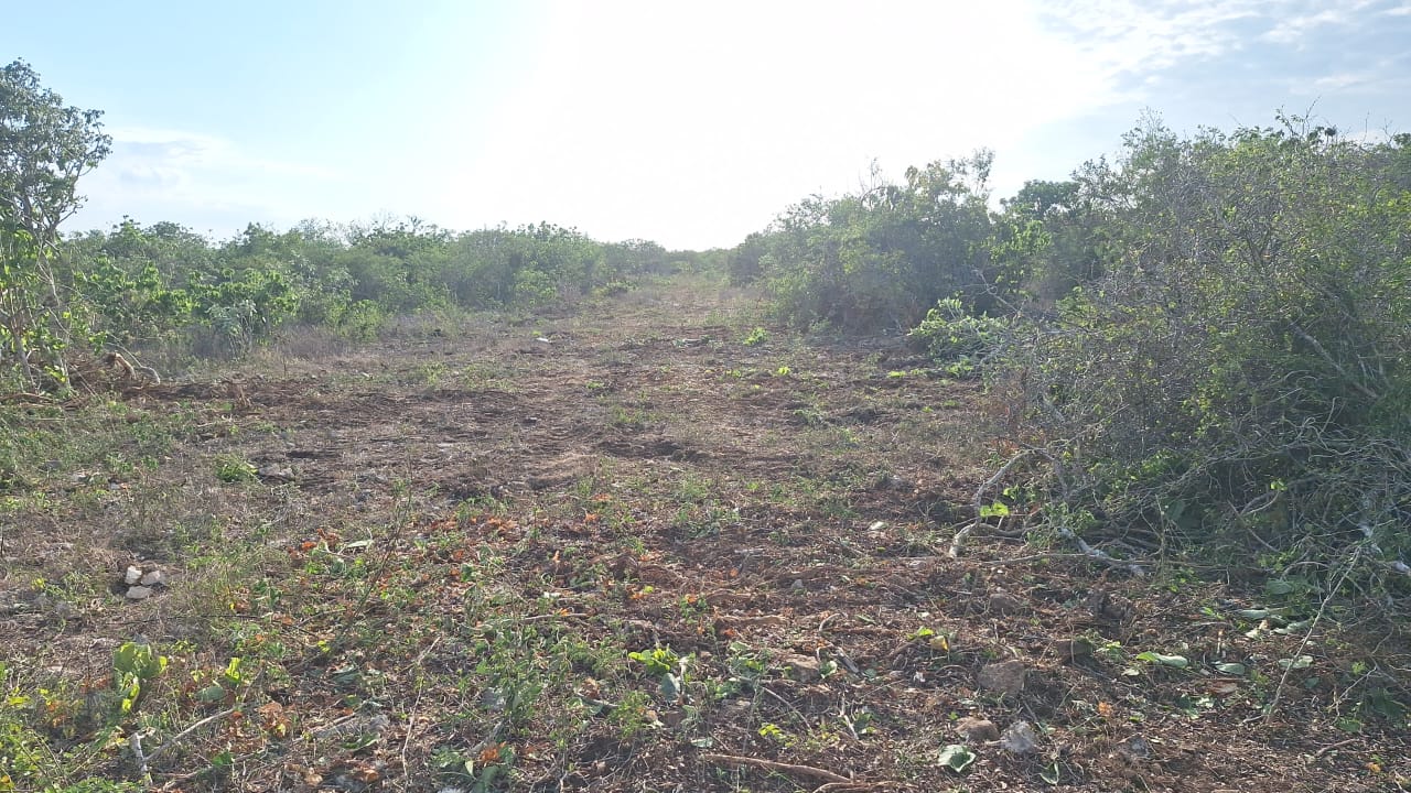 CONSTRUCCIÓN DE CANCHA DE FÚTBOL 5 EN CONAVI SAN FELIPE TABLAJE 4899 EN SAN FELIPE