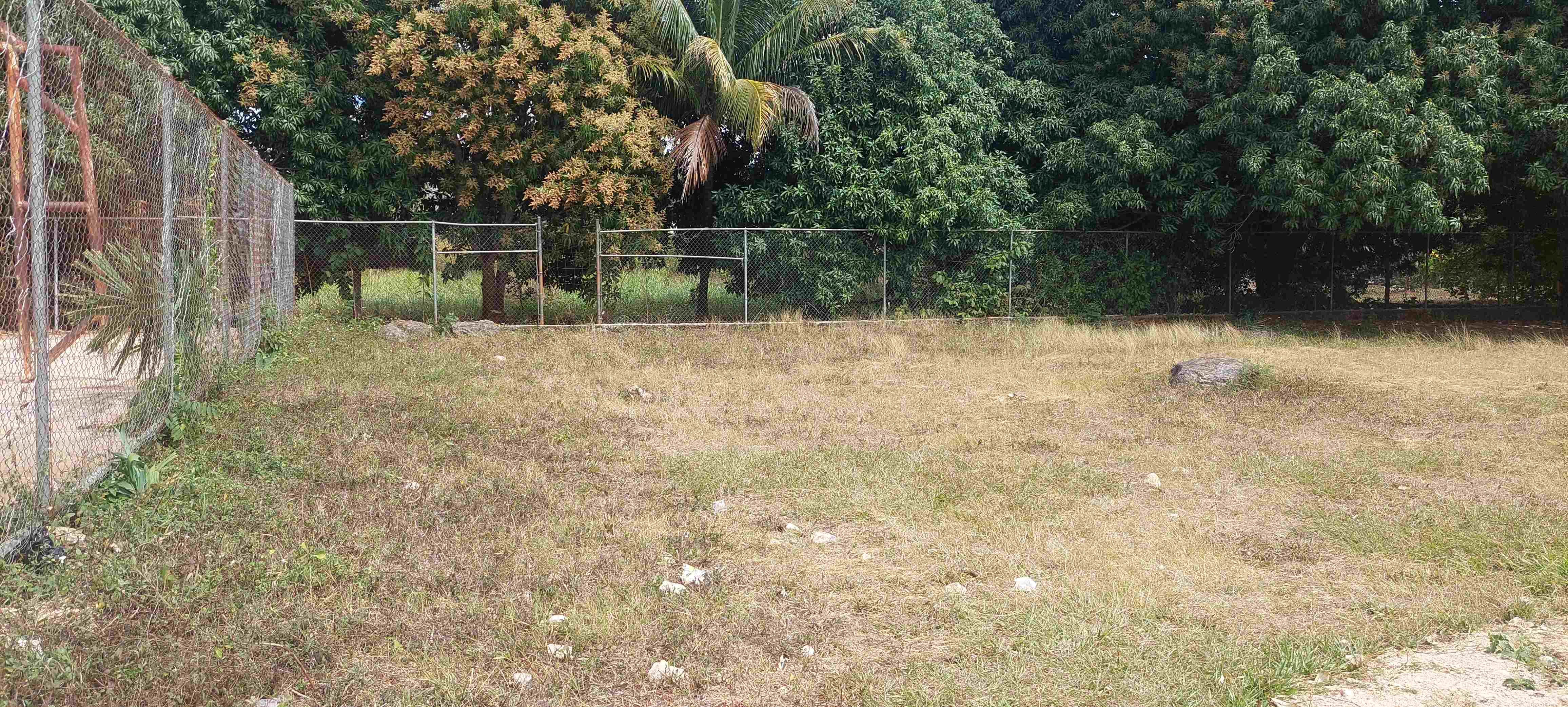 CONSTRUCCIÓN DE CANCHA DE FÚTBOL 5 EN EL CAMPO DEPORTIVO MIGUEL HIDALGO EN TZUCACAB