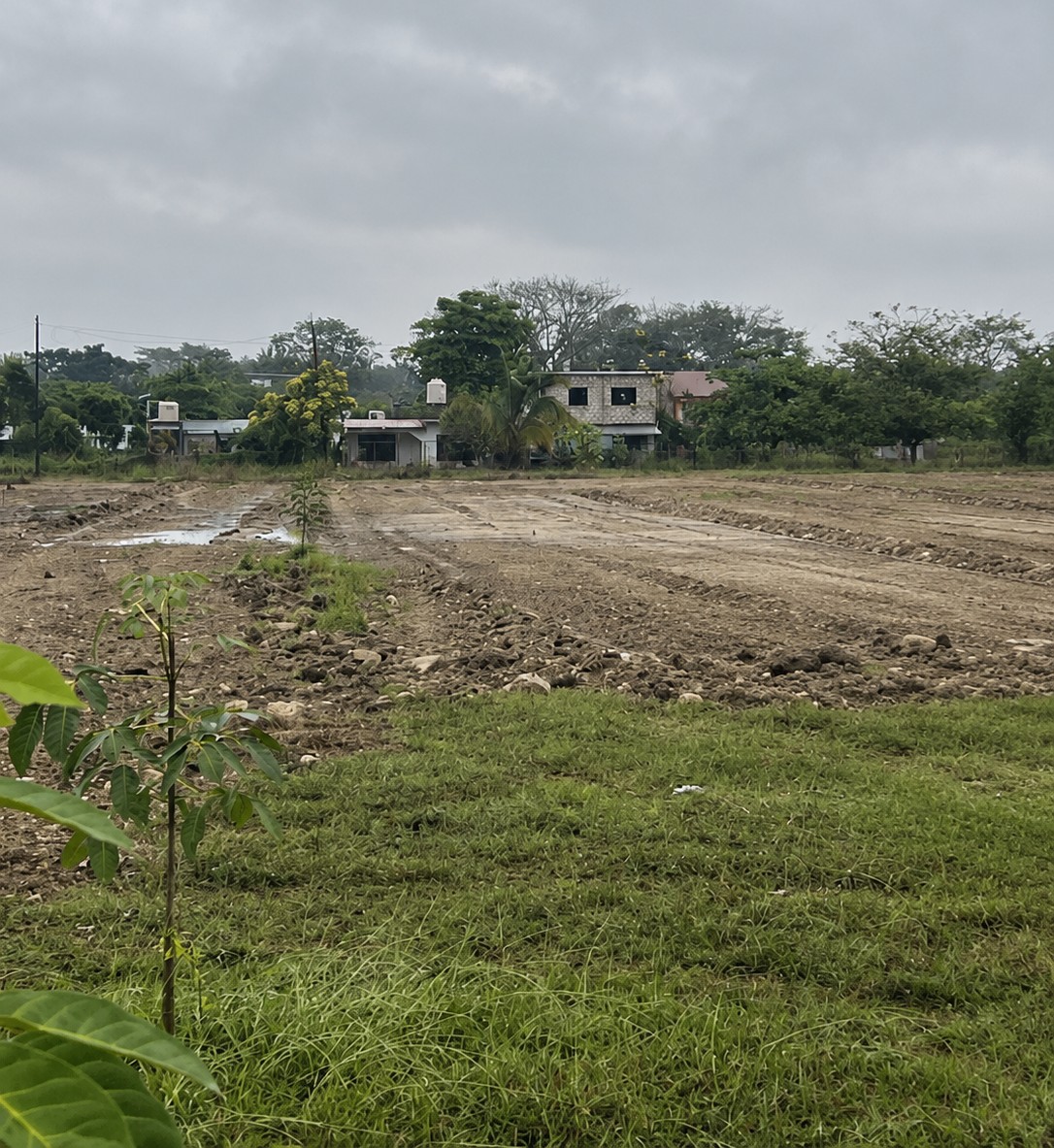 CONSTRUCCION DE CANCHA FÚTBOL 7 EN COLONIA VALLE DE BALAM EN PALENQUE