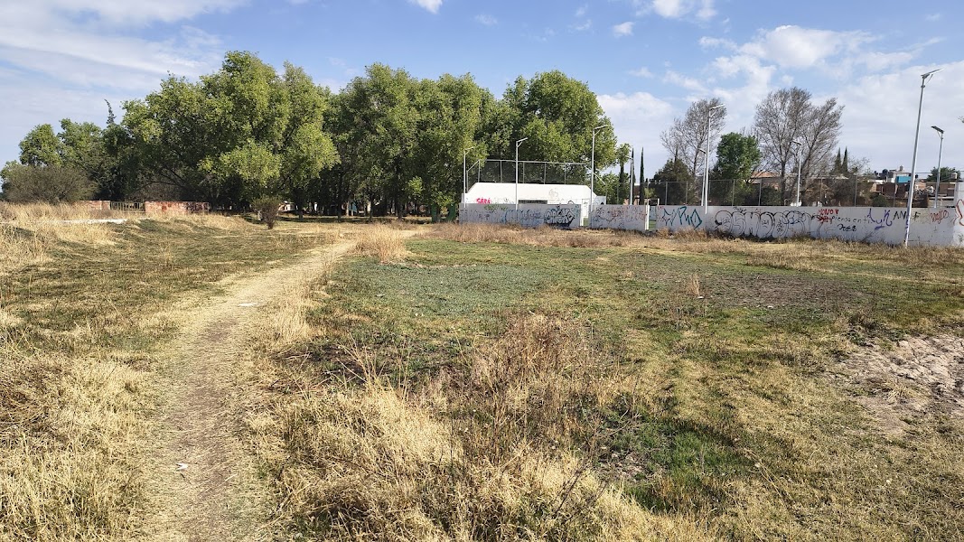 CONSTRUCCIÓN DE CANCHA FÚTBOL 5 EN UNIDAD DEPORTIVA SOLIDARIDAD EN FRESNILLO