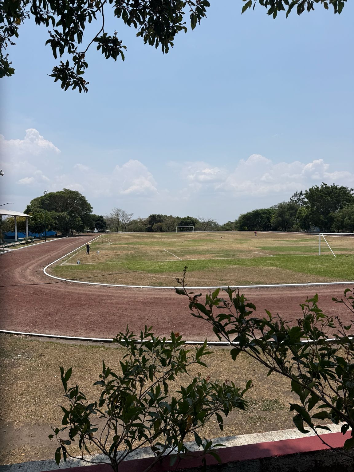 CAMPO UNIDAD DEPORTIVA BERNARDO TOSCANO CAMPA
