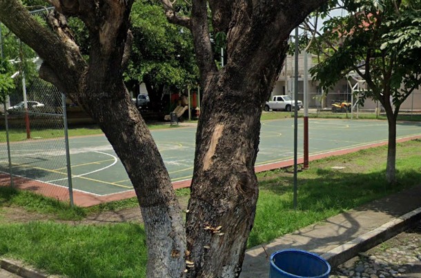 CANCHA DE USOS MÚLTIPLES - JALA