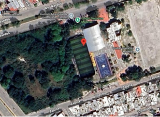 CAMPO MADERAS