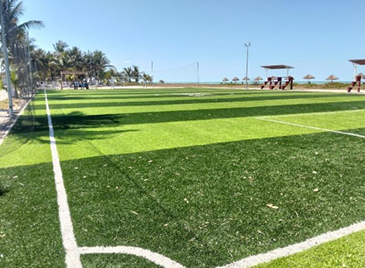 CAMPO BIVALBO