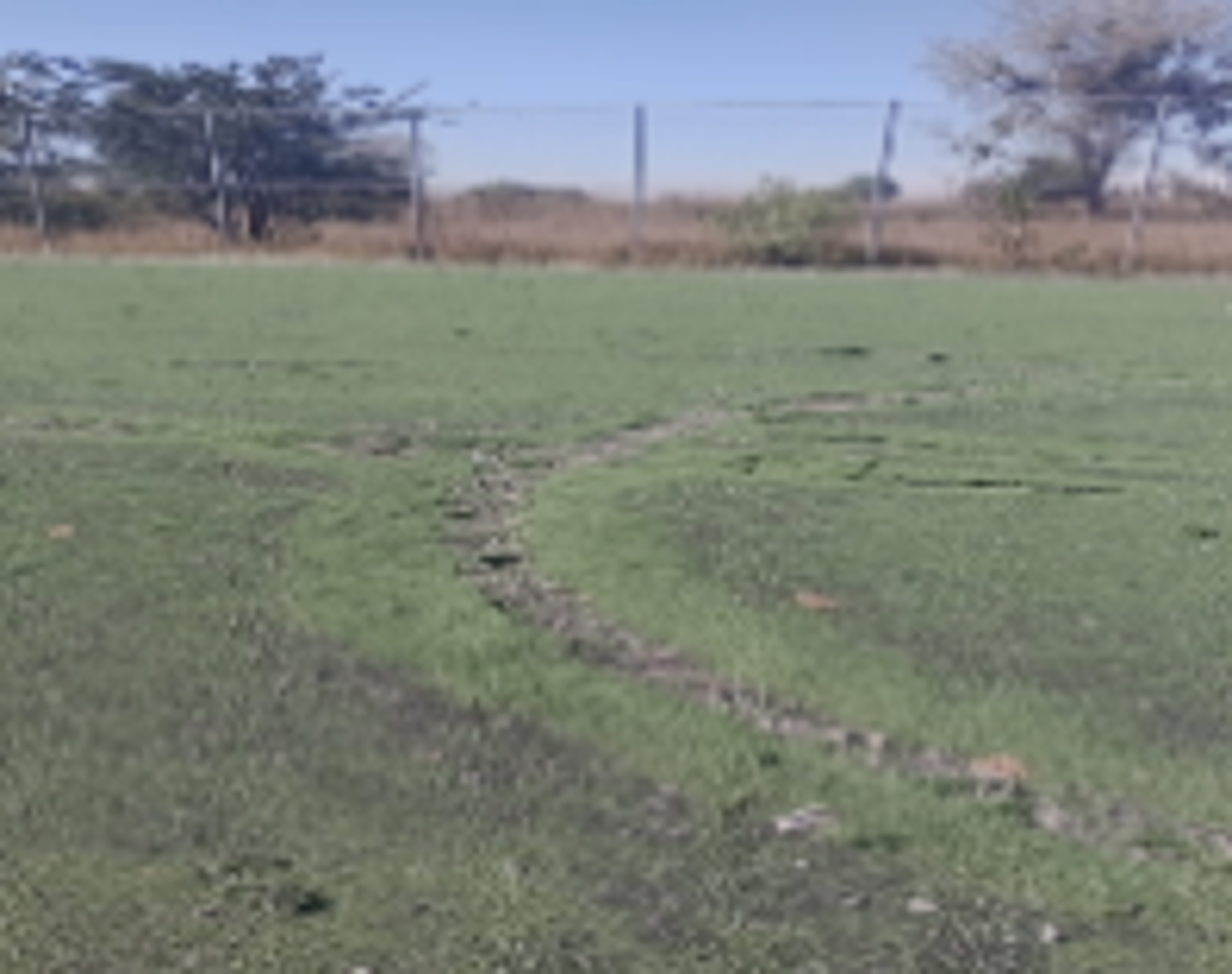 CANCHA DE FÚTBOL SOCCER SAN ANTONIO DE GALLARDO