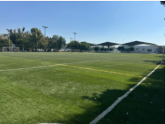 CAMPO DE FÚTBOL SOCCER DEL MACROCENTRO LEÓN 1