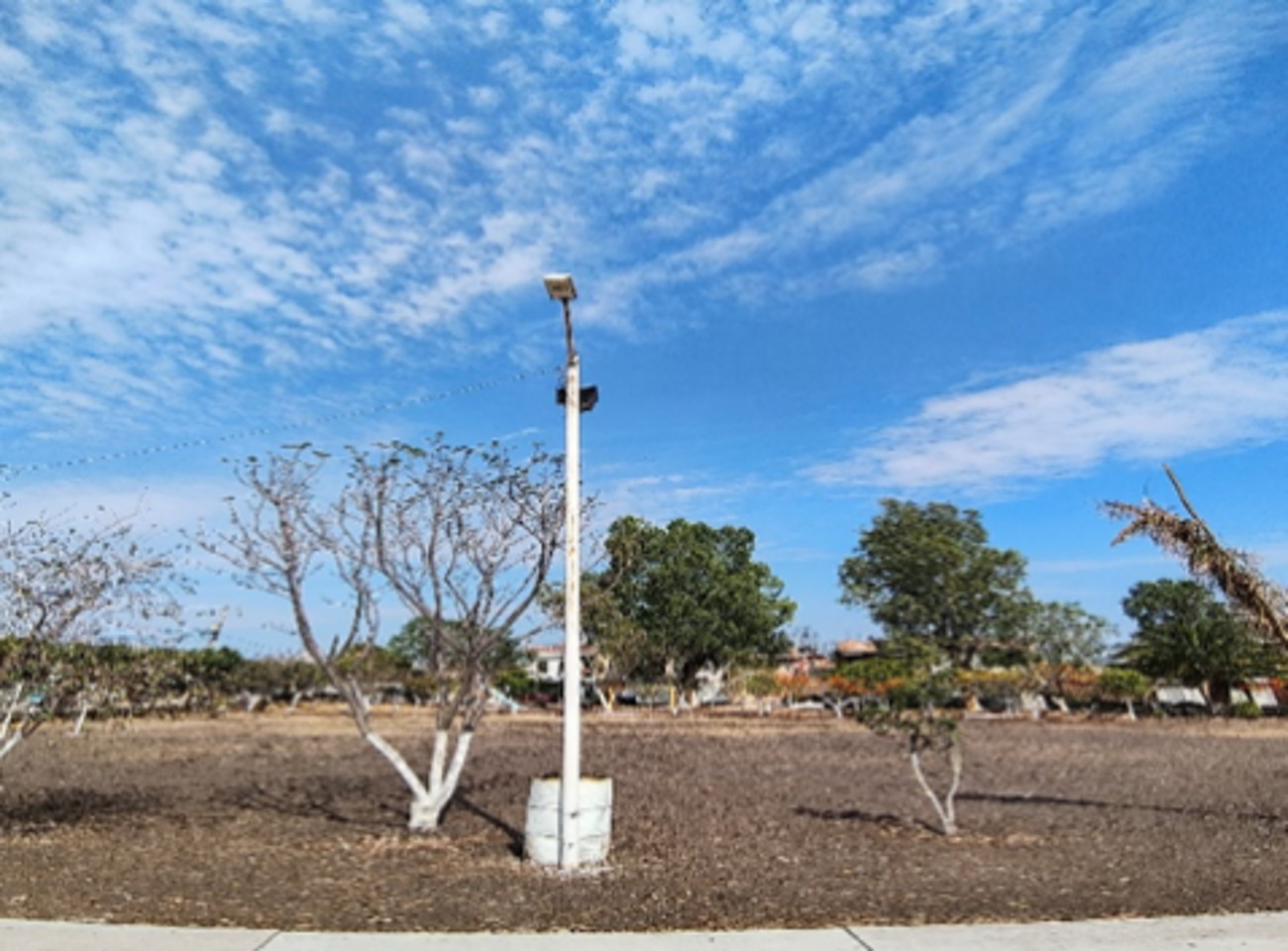 CANCHA EN COLONIA HUERTAS DE LA HACIENDA