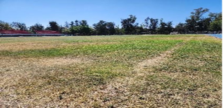 CANCHA 1 EN DEPORTIVA NORTE
