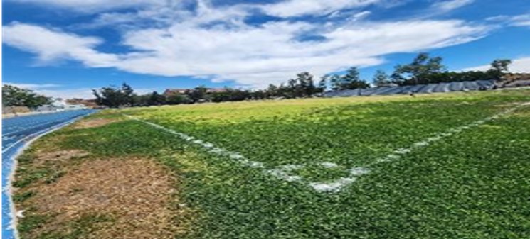 CANCHA 2 DEPORTIVA SUR