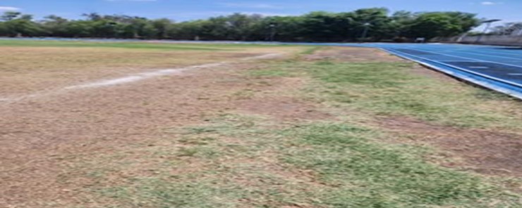 CANCHA 3 DEPORTIVA SUR