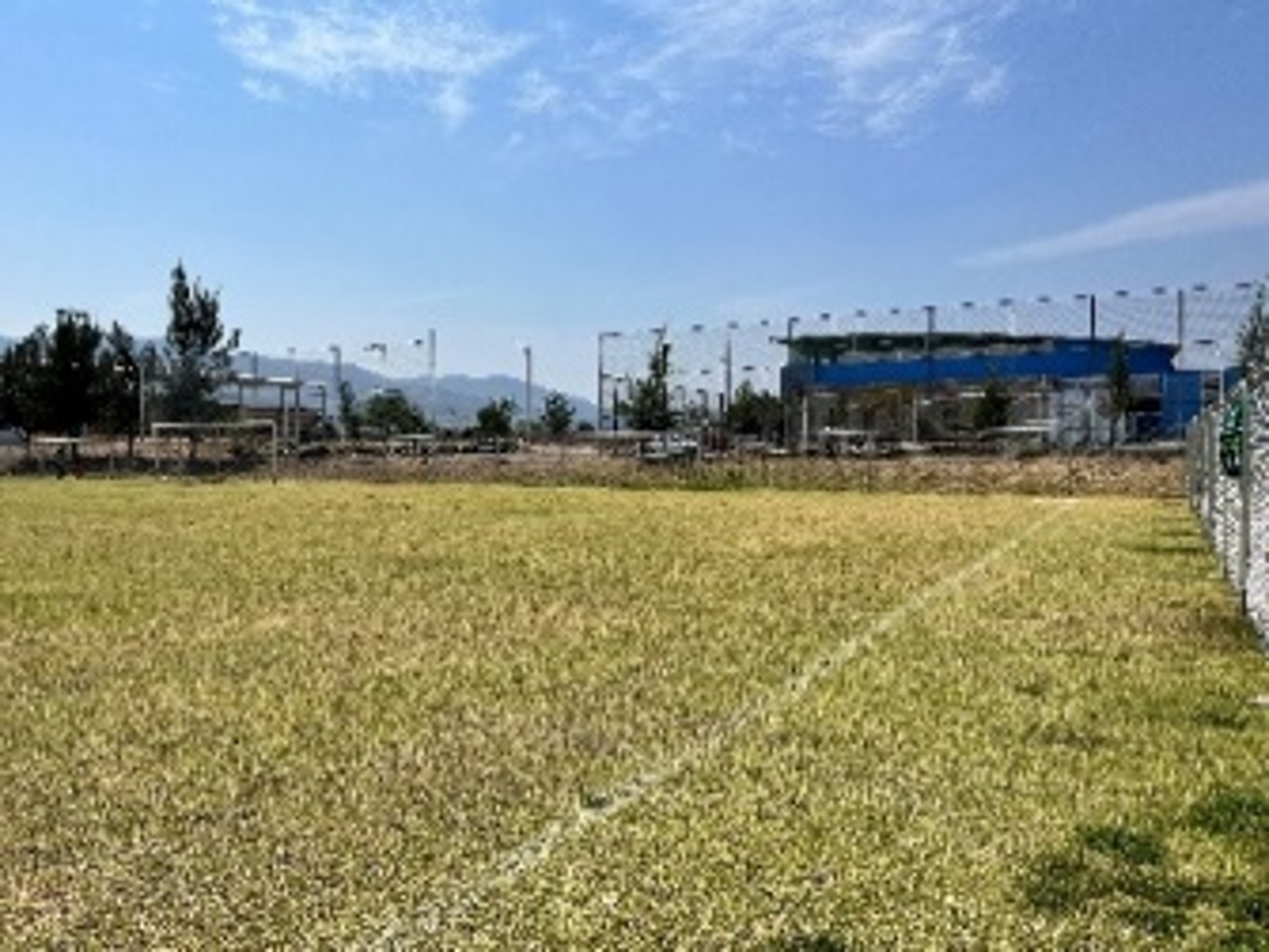 CANCHA DE FÚTBOL 7 EN UNIDAD DEPORTIVA DE TARIMORO