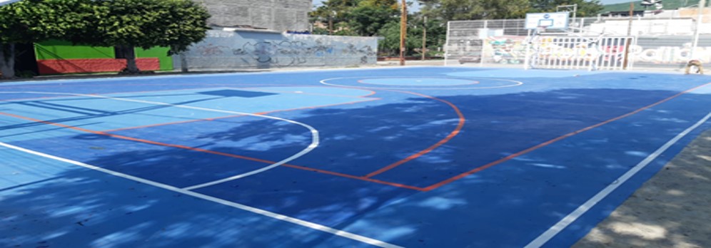 CANCHAS EN COLONIA ERNESTO