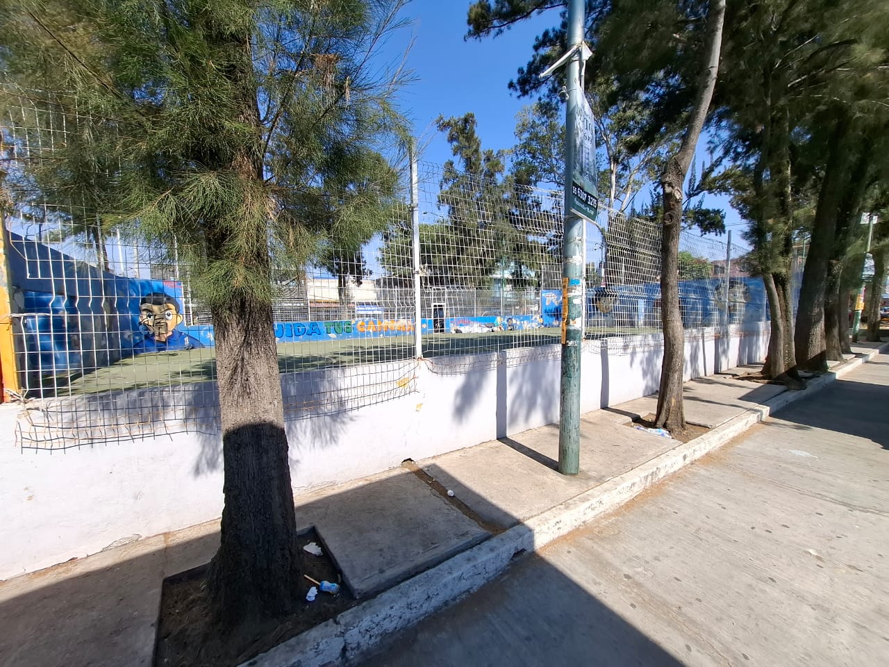 CANCHA SUR 20