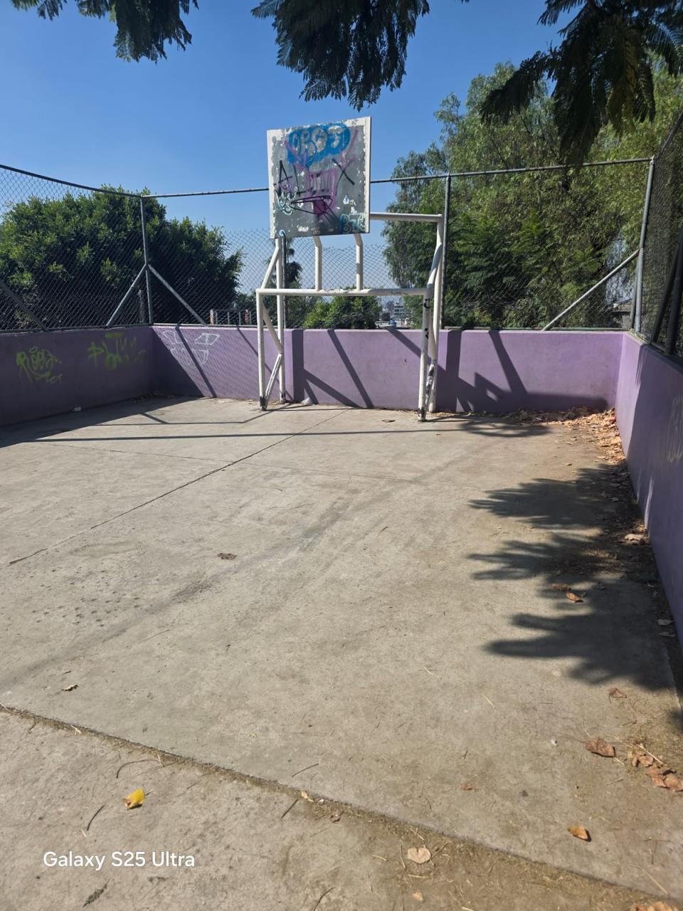 XALPA 2
