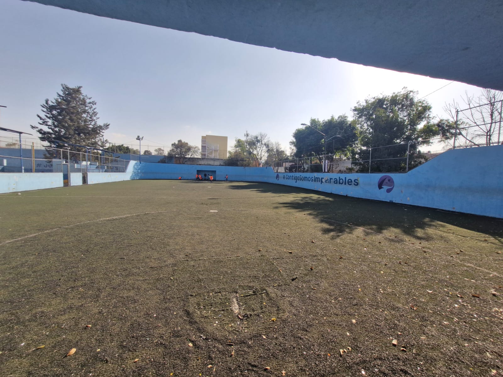 PEDREGAL DE SANTA ÚRSULA 5