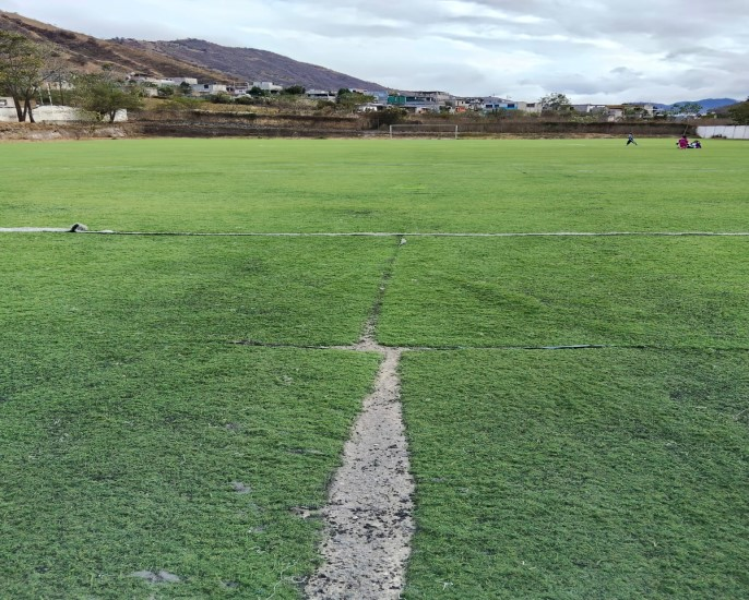 CAMPO CHILCA