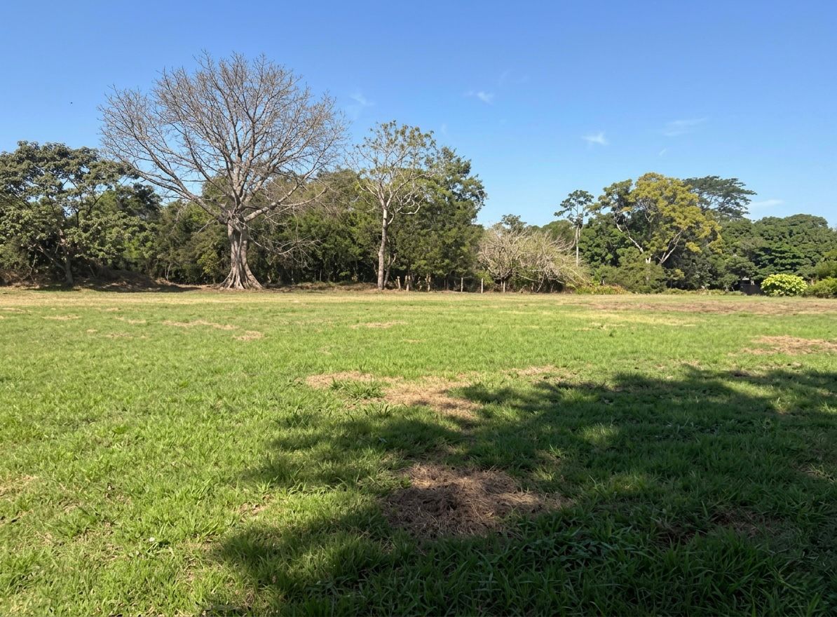CAMPO DE FÚTBOL 20 DE ABRIL