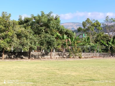 CAMPO MUNICIPAL DE CHIAPILLA