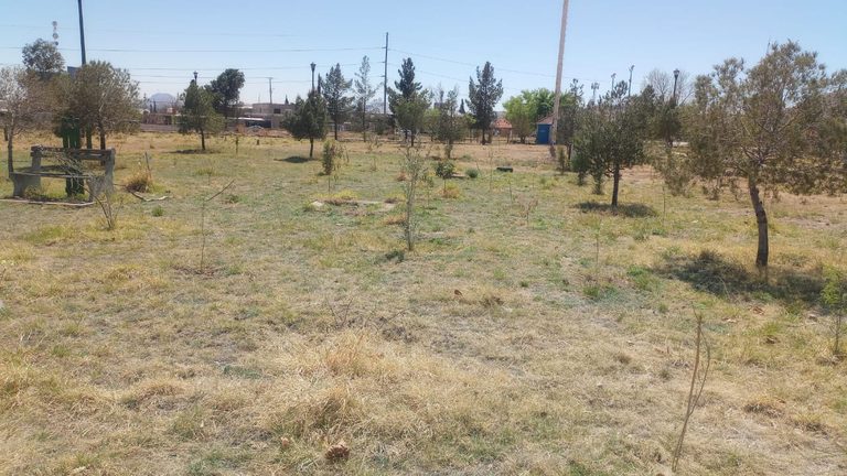 PISTOLAS MENESES CANCHA 2