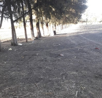 CANCHA EN LOCALIDAD SAN ANTONIO DE TERÁN