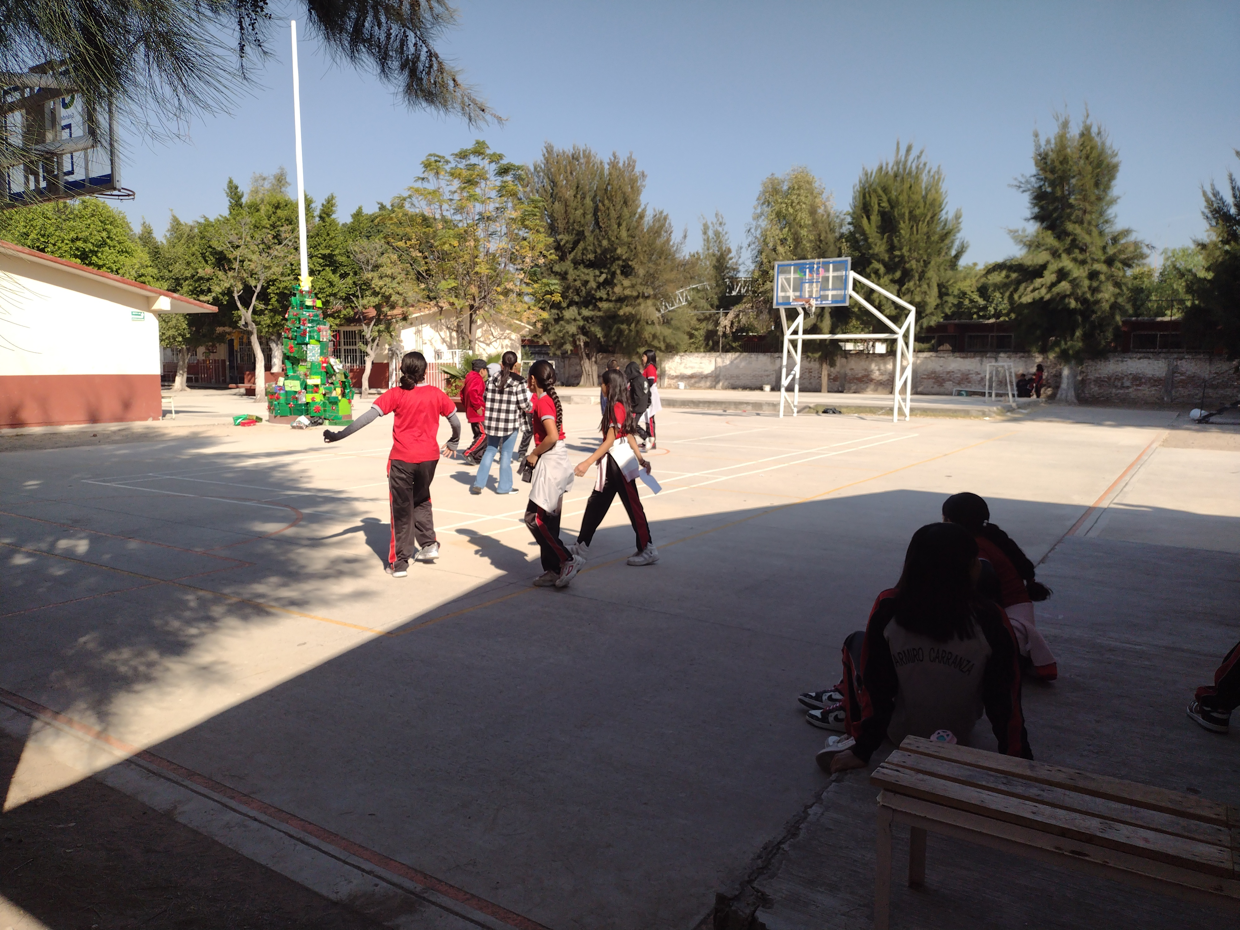PRIMARIA ARMIRO CARRANZA CON C.C.T. 11DPR1024T