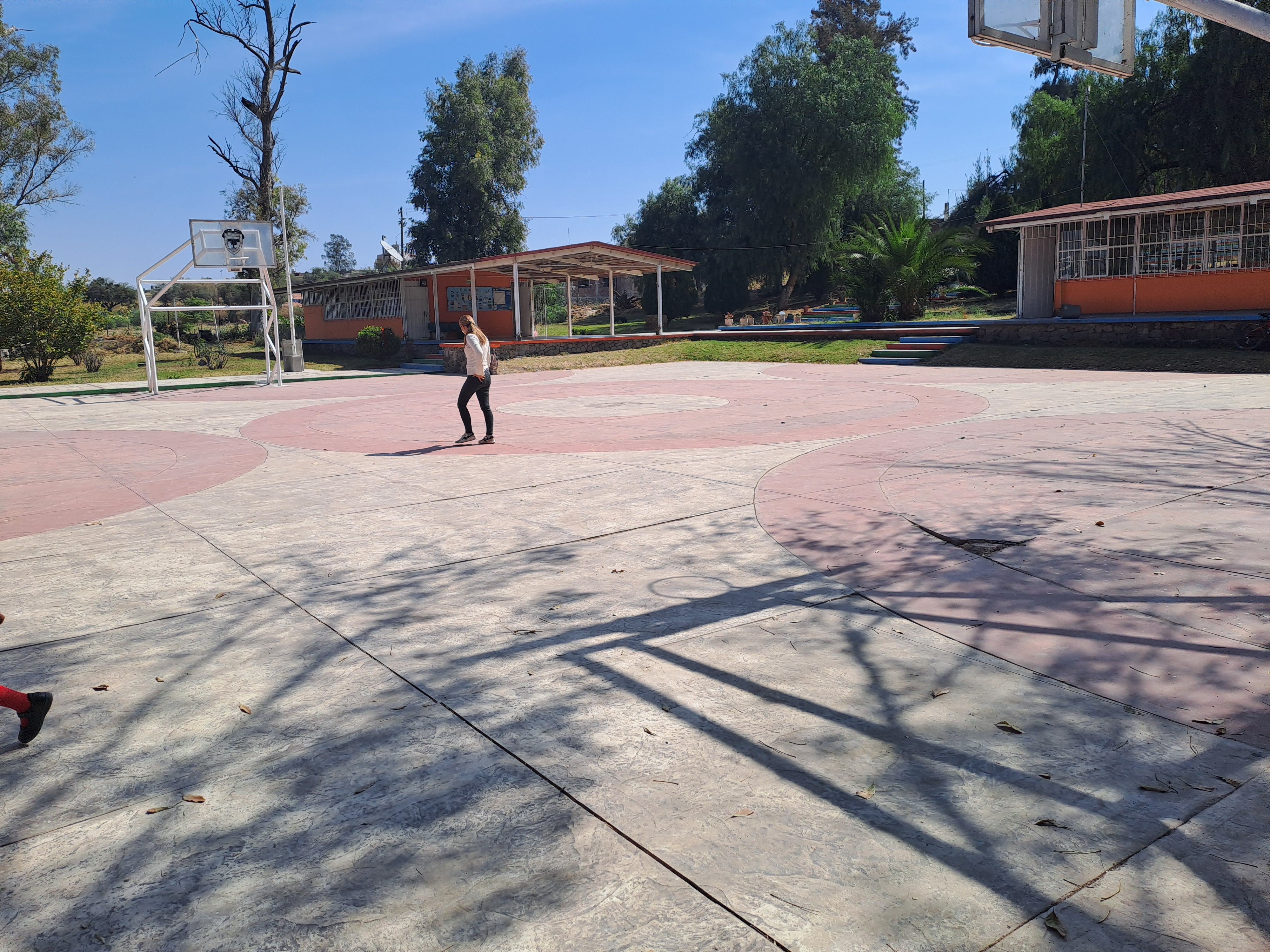 PRIMARIA IGNACIO GONZÁLEZ CON C.C.T. 11DPR2130J