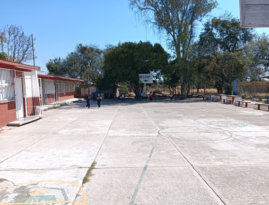 PRIMARIA VENUSTIANO CARRANZA CON C.C.T. 11DPR2452S