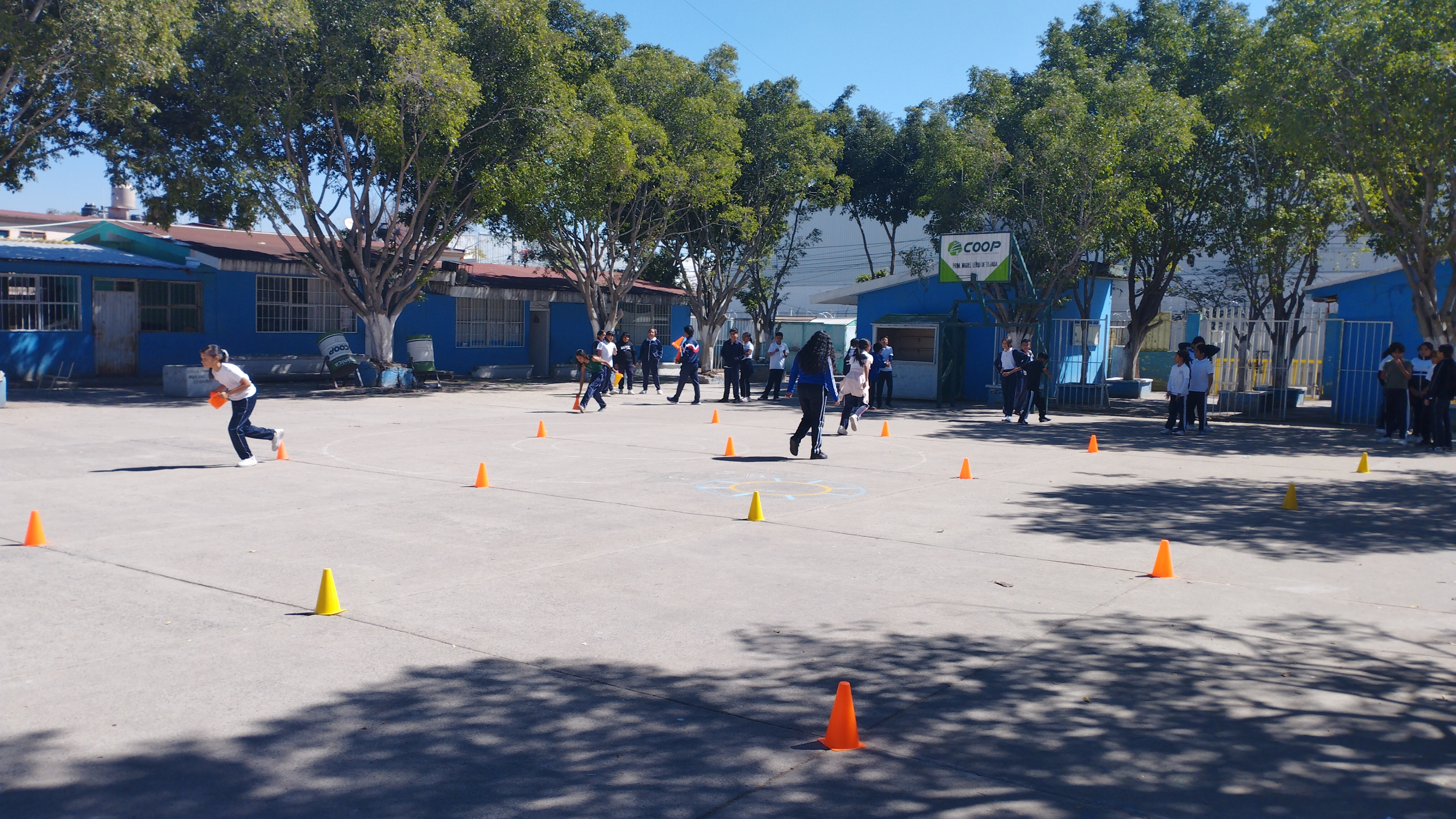 PRIMARIA CON C.C.T. 11DPR3769W 