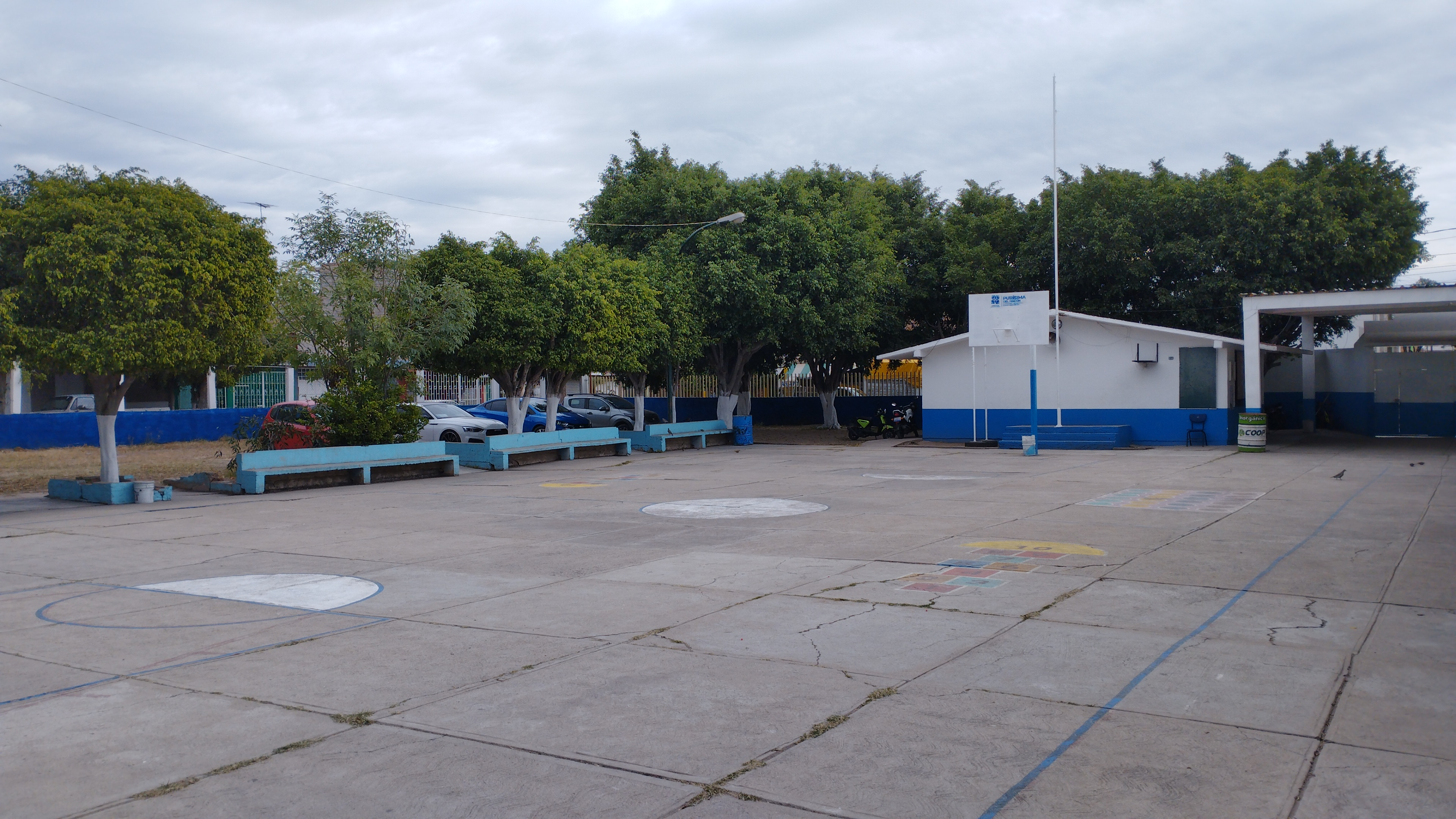 PRIMARIA FRANCISCO ZARCO MATEOS CON C.C.T. 11DPR3412Y
