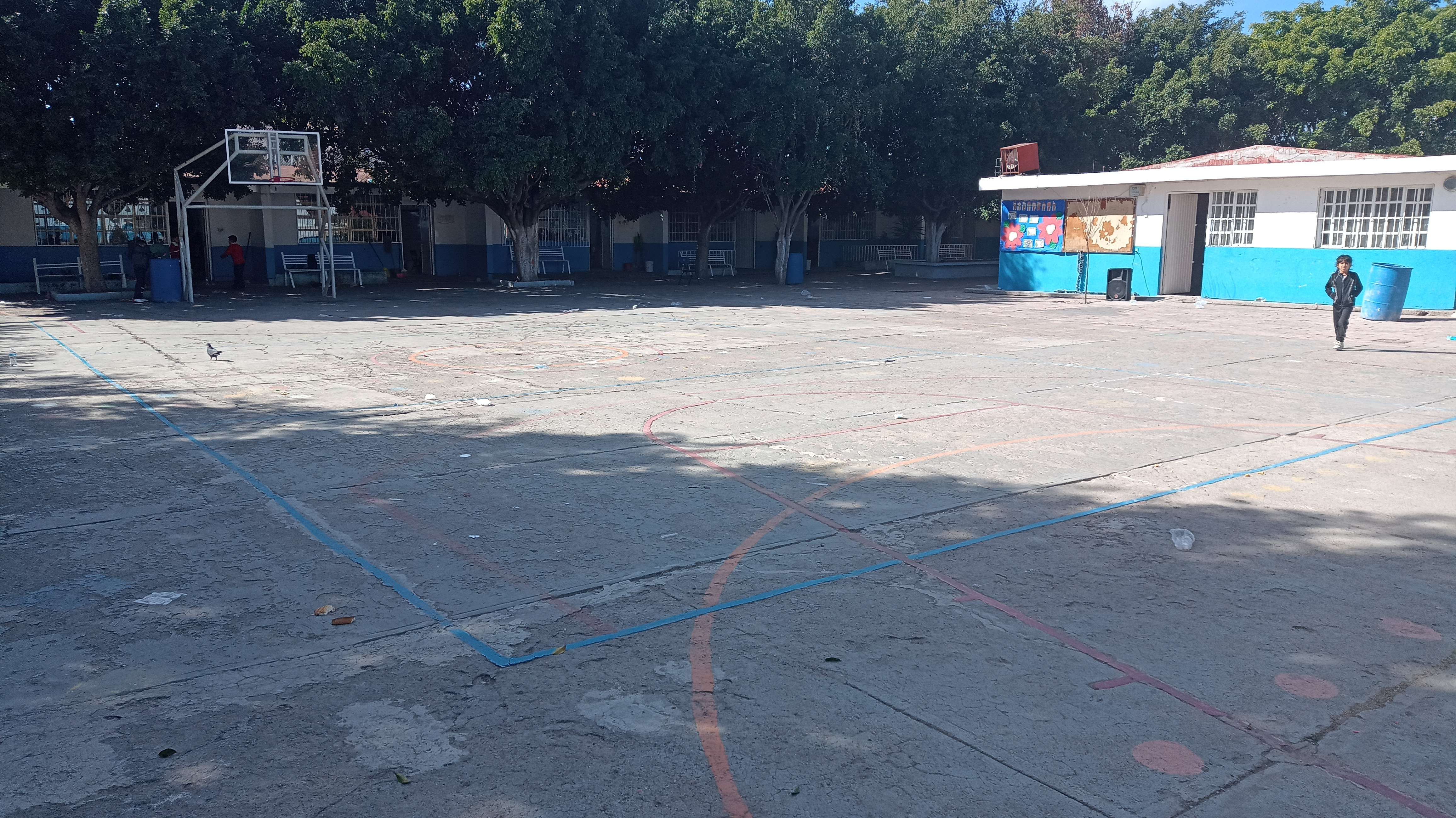 PRIMARIA IGNACIO ALLENDE CON C.C.T. 11DPR2788D