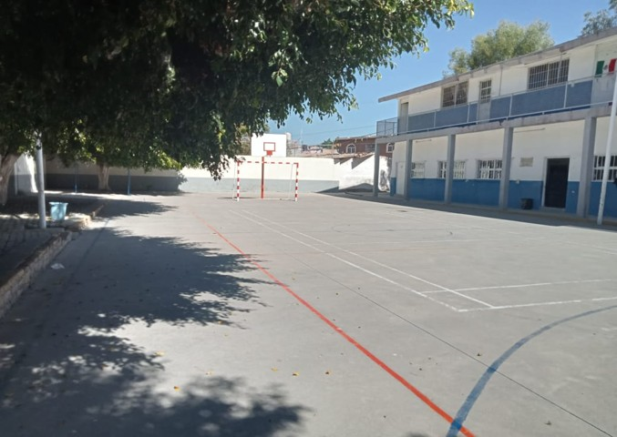PRIMARIA LEONA VICARIO CON C.C.T. 11DPR0699X 