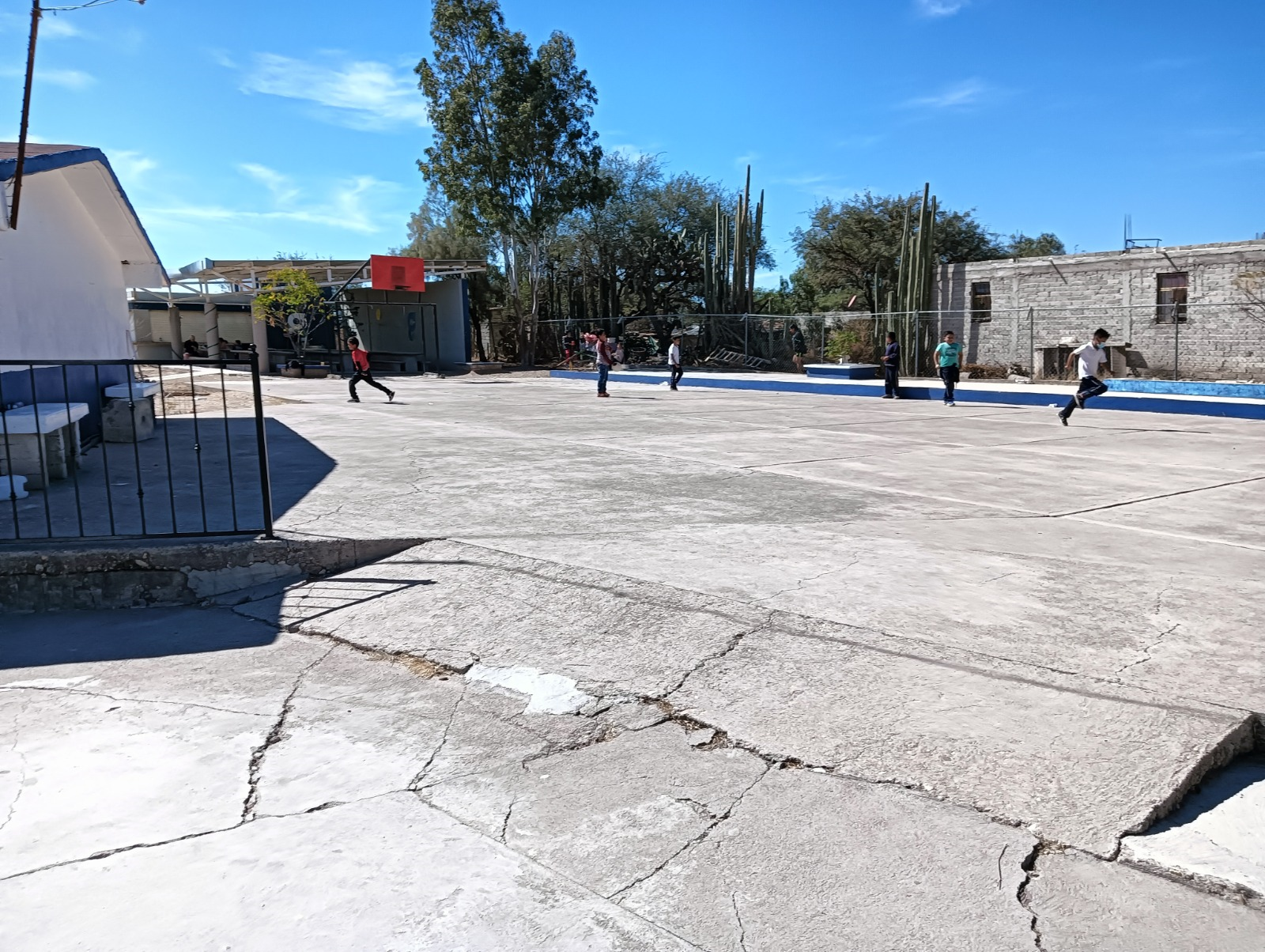 PRIMARIA LEONA VICARIO CON C.C.T. 11EPR0826B