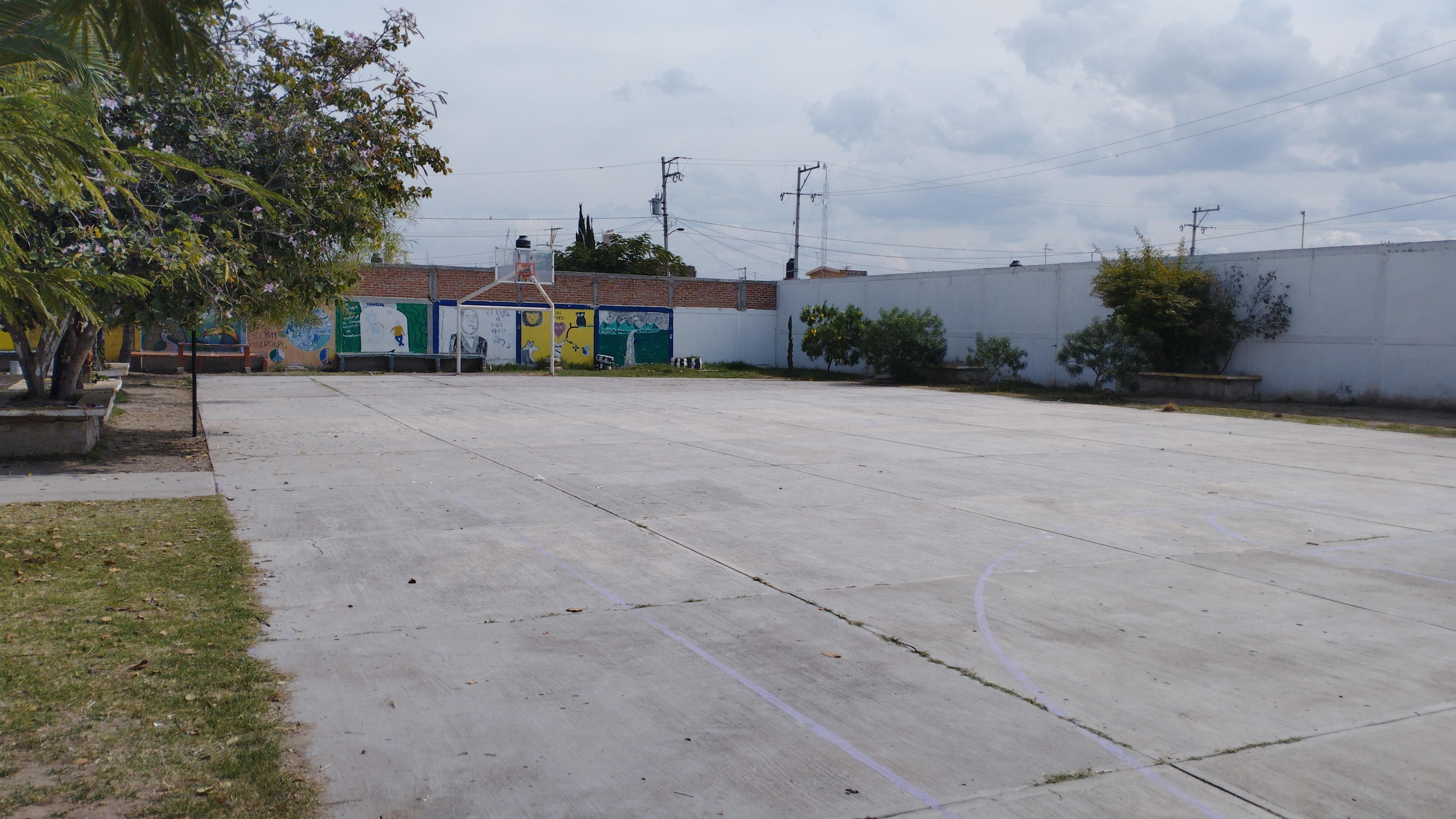 TELESECUNDARIA NÚM. 979 CON C.C.T. 11ETV0979E 