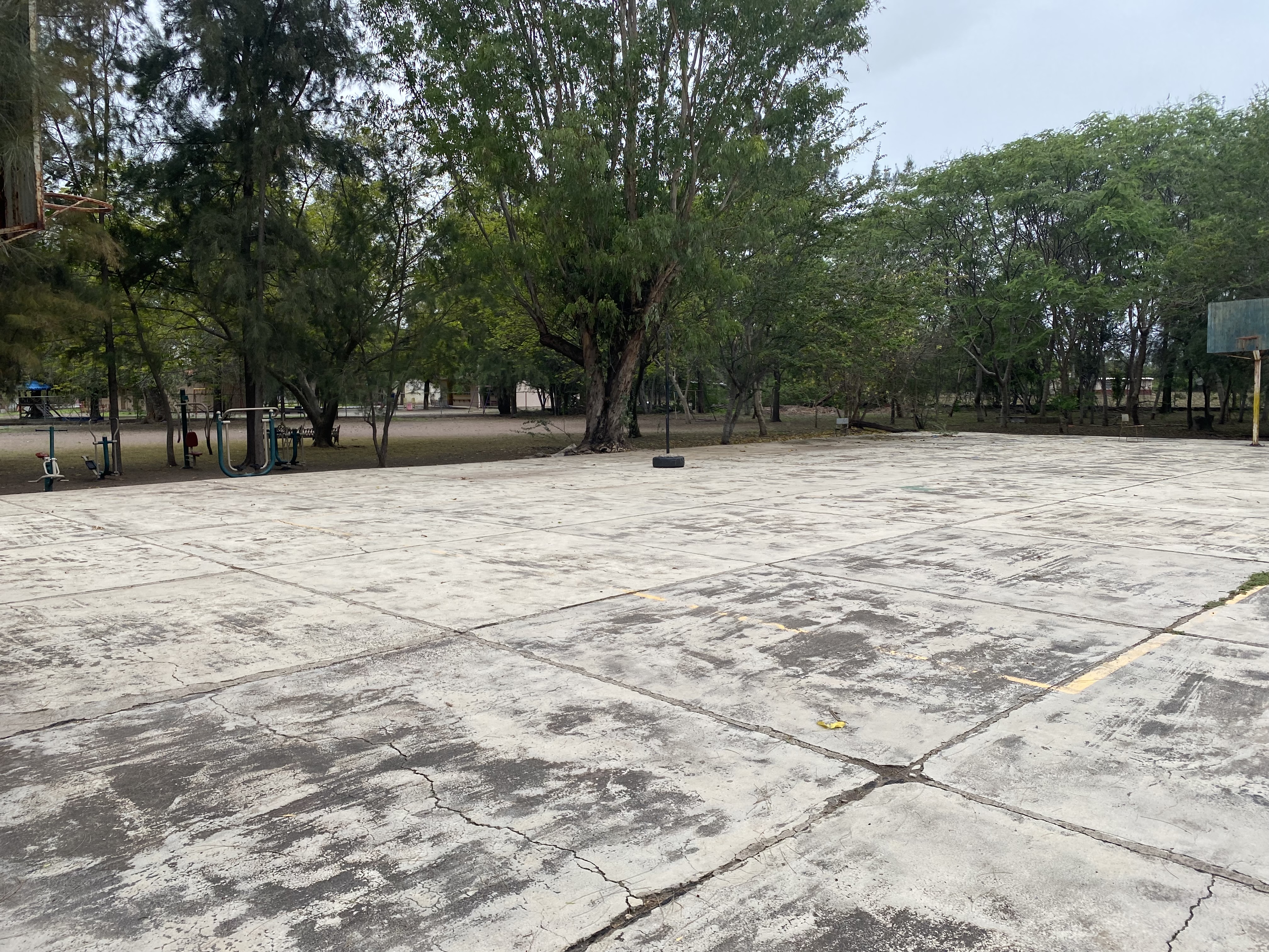 PRIMARIA LÁZARO CÁRDENAS DEL RÍO C.C.T. 14DPR1356F
