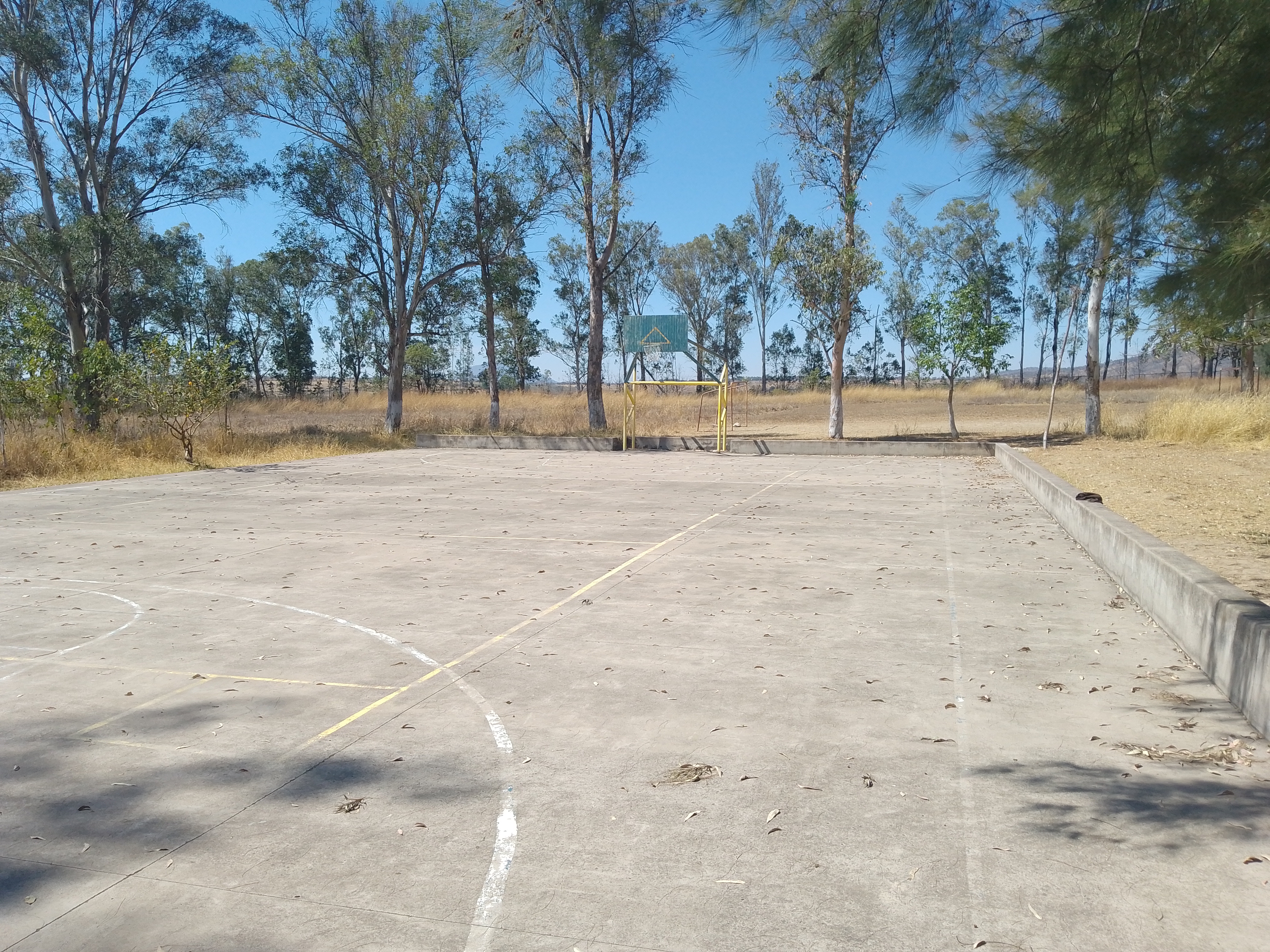 SECUNDARIA TÉCNICA 97 C.C.T. 14DST0097N