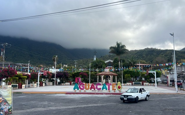 CANCHA DE BÁSQUETBOL - AGUACATE